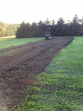 Lawn prep